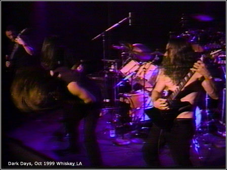 The crowd moshing